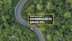 Auto ide po ceste cez les.