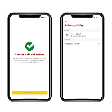 Shell SmartPay 2