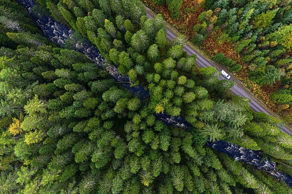 Arial view of a river and a white truck on a road in a pine forest with an outline of the Respecting nature graph